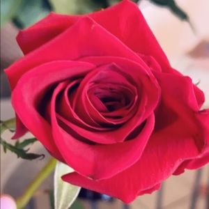 Meet your Posher, Guera